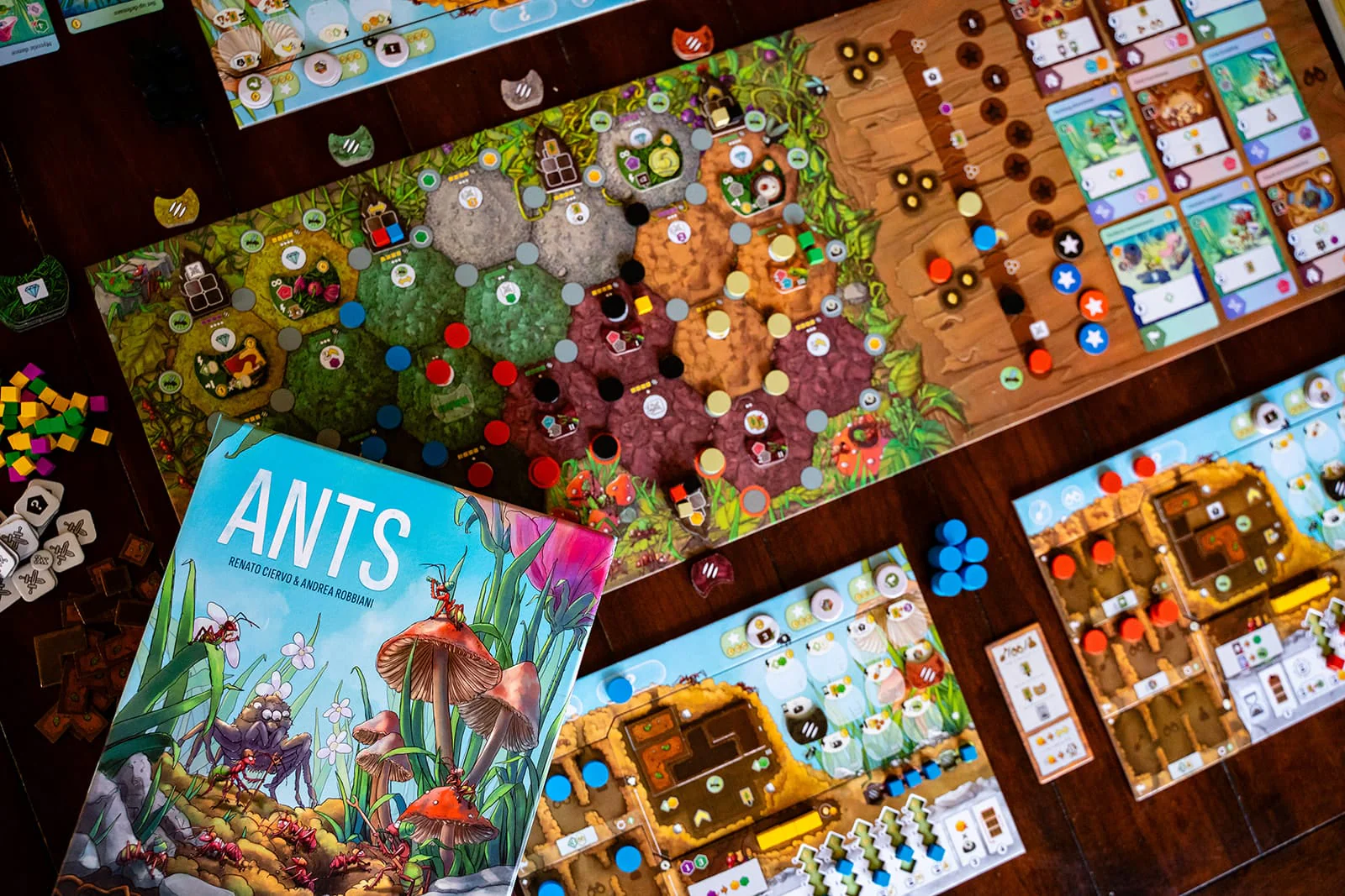 Ants (Pre-Order) - Image 2