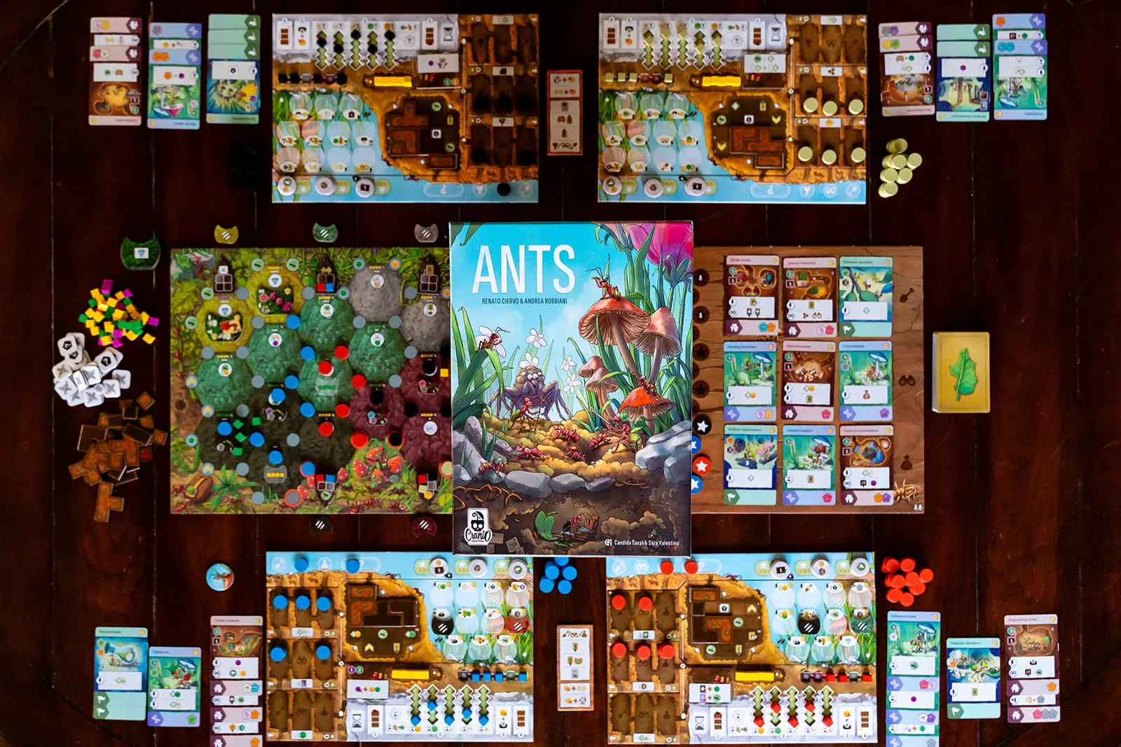 Ants (Pre-Order) - Image 3
