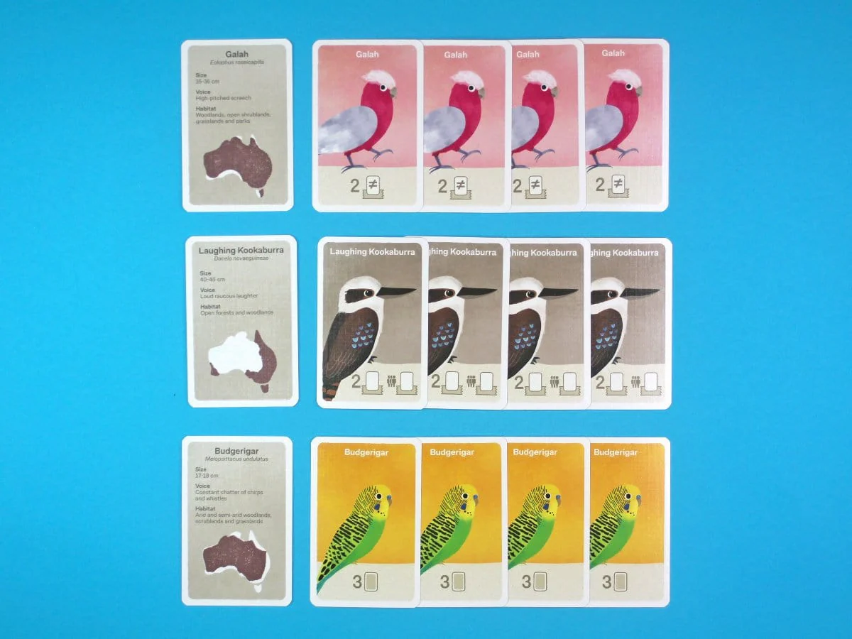 Busy Beaks - Image 4