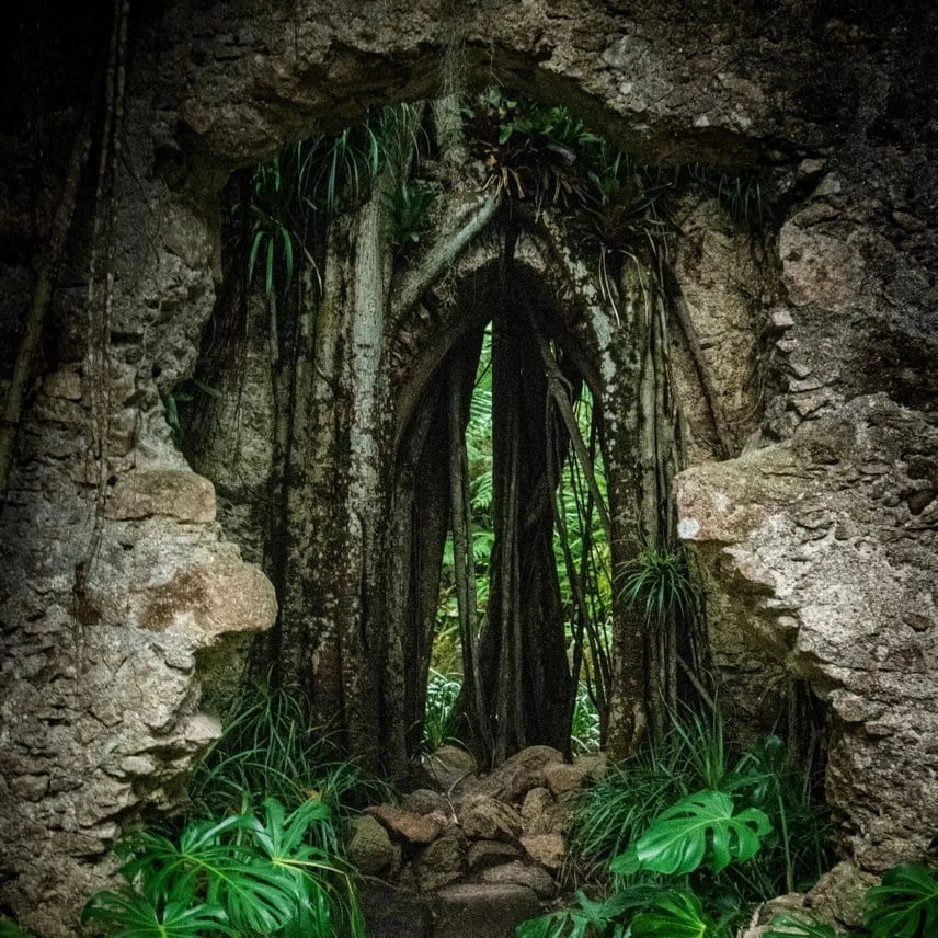 Cantrip Candles: Jungles of Makal 16 oz - Image 3