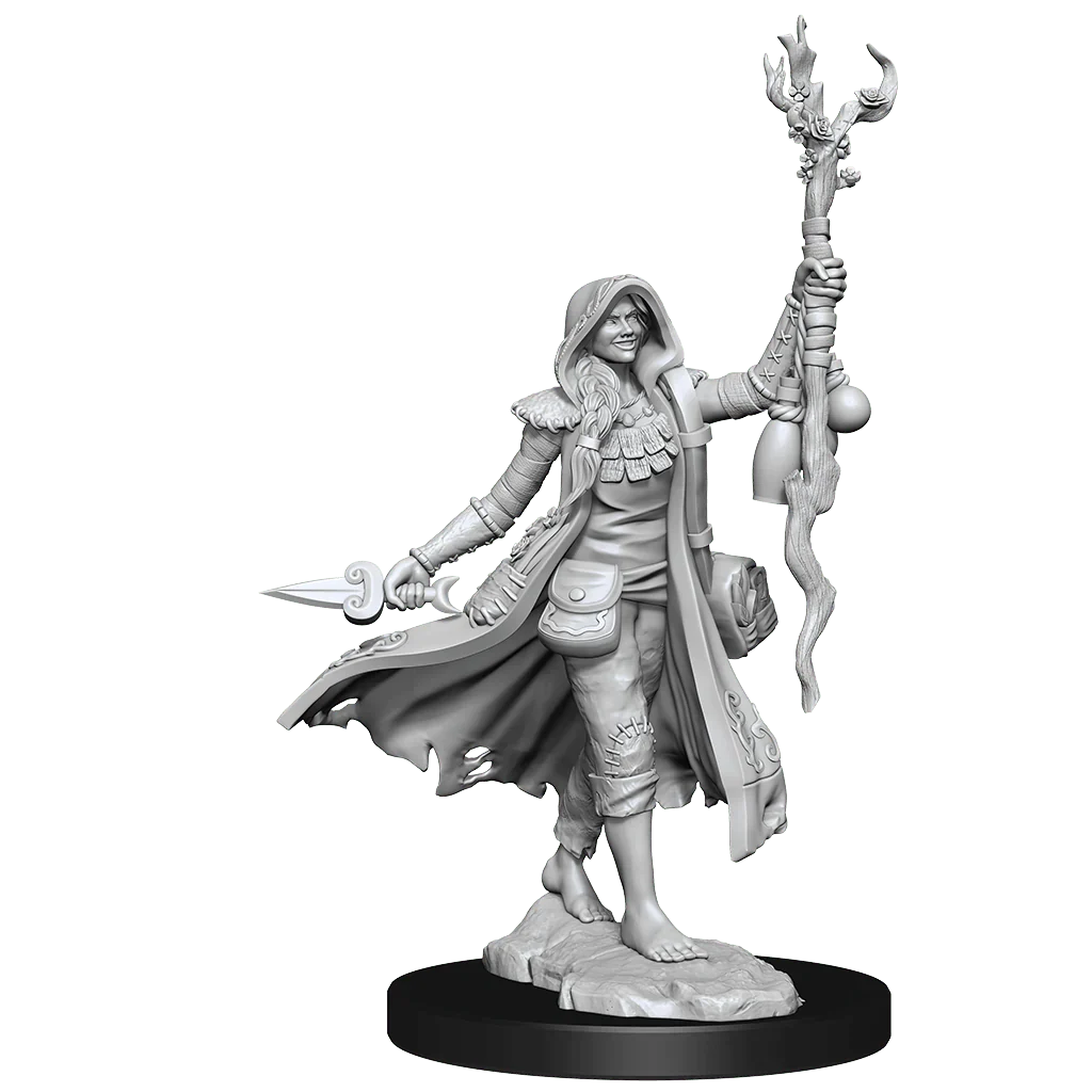 D&D Frameworks - Human Druid (Female)