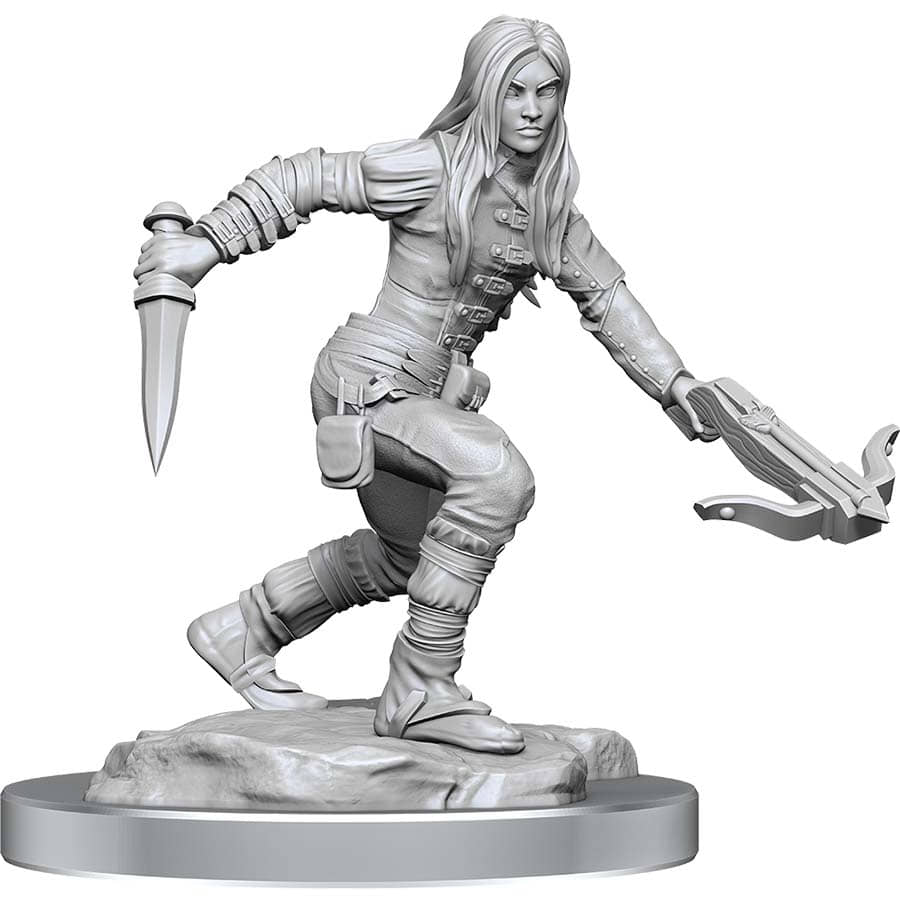D&D Nolzur's Marvelous Miniatures: W17 Female Half-Elf Rogue