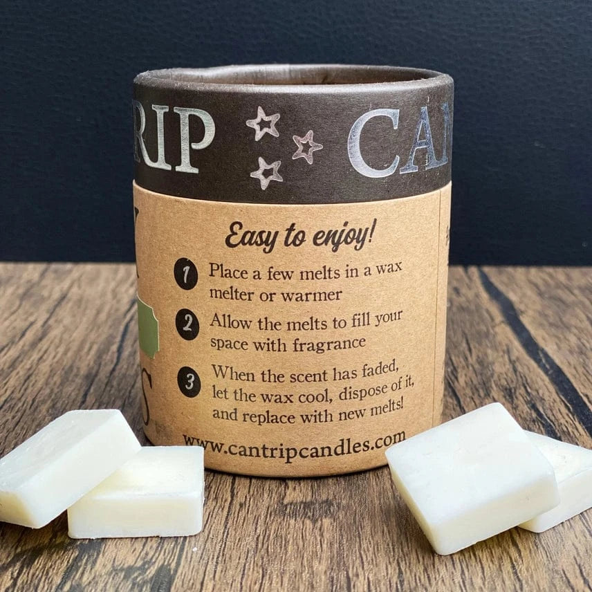 Cantrip Candles: Den of Thieves Wax Melts - Image 3