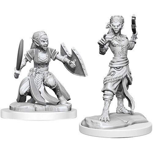 Dungeons And Dragons Nolzur's Marvelous Miniatures: W20 Shifter Fighter