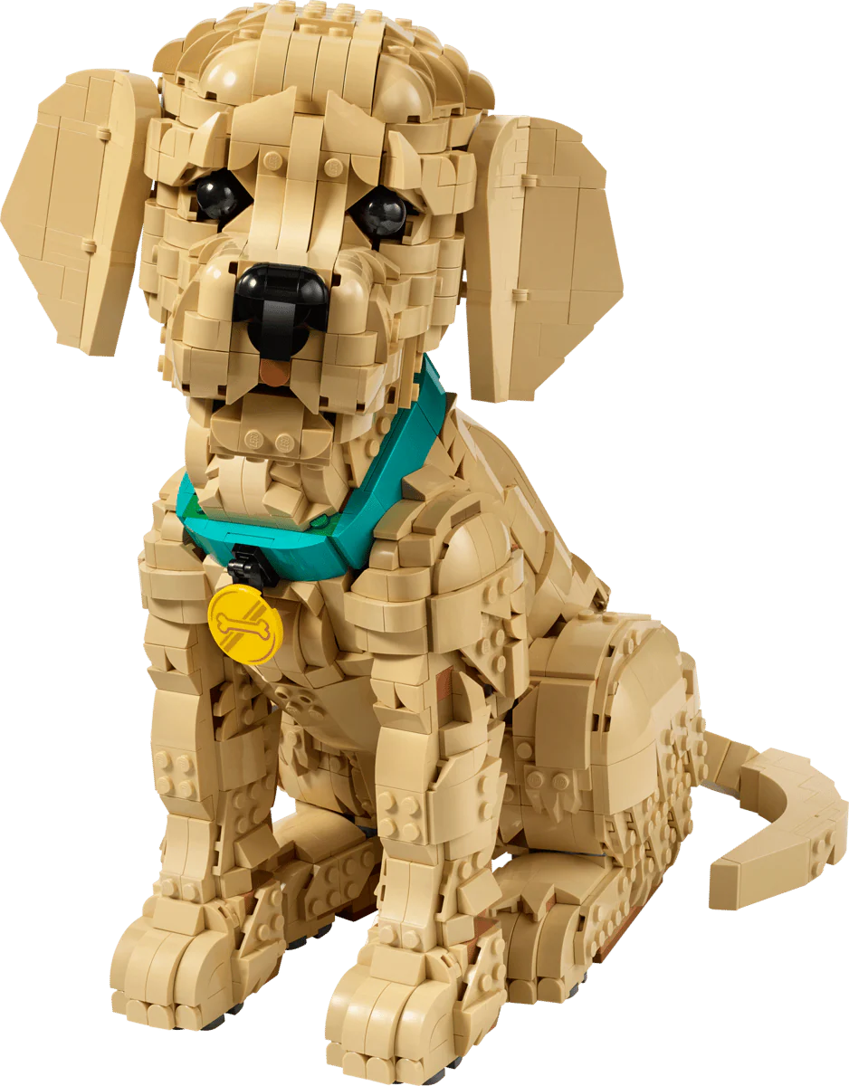 Lego: Icons - Golden Retriever Puppy (11384) - Image 2