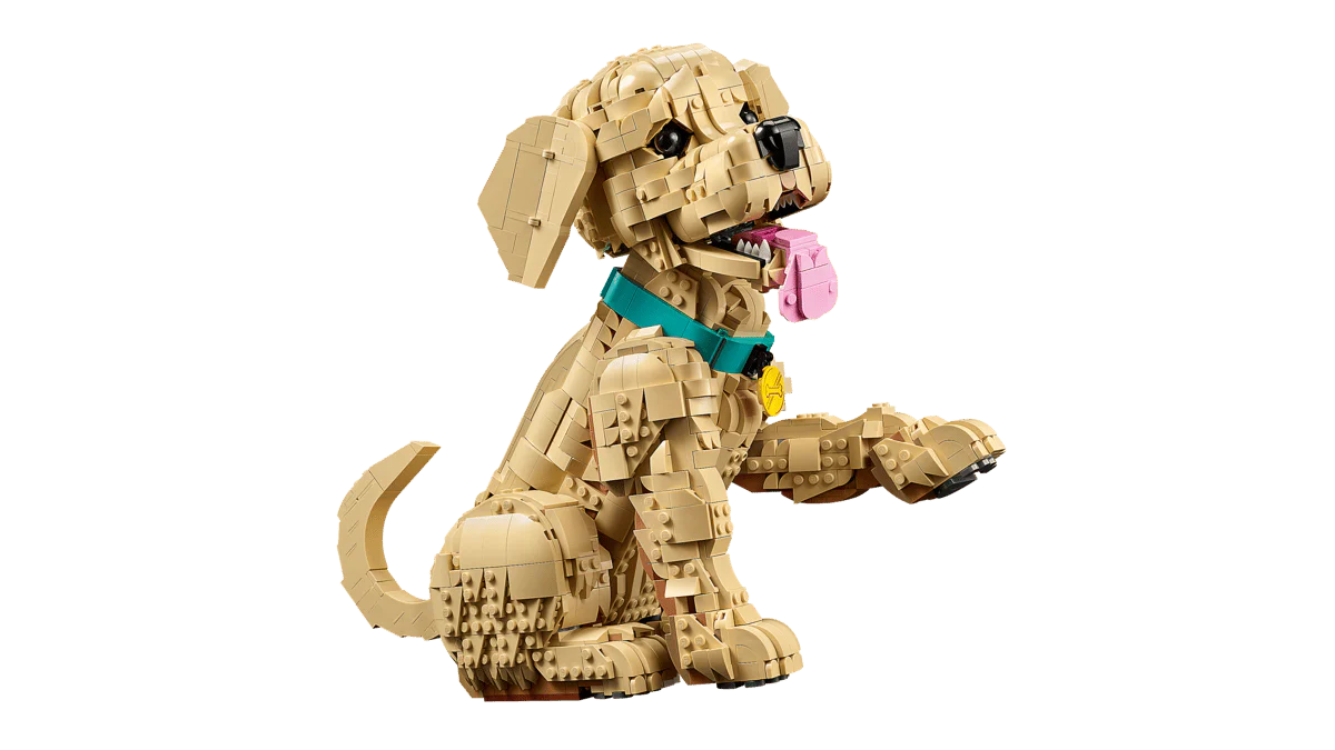 Lego: Icons - Golden Retriever Puppy (11384) - Image 3