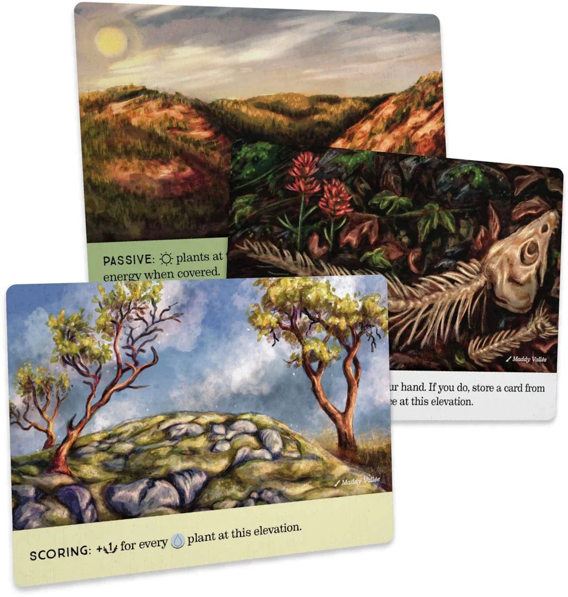 Reforest: Old Growth Expansion - Image 6